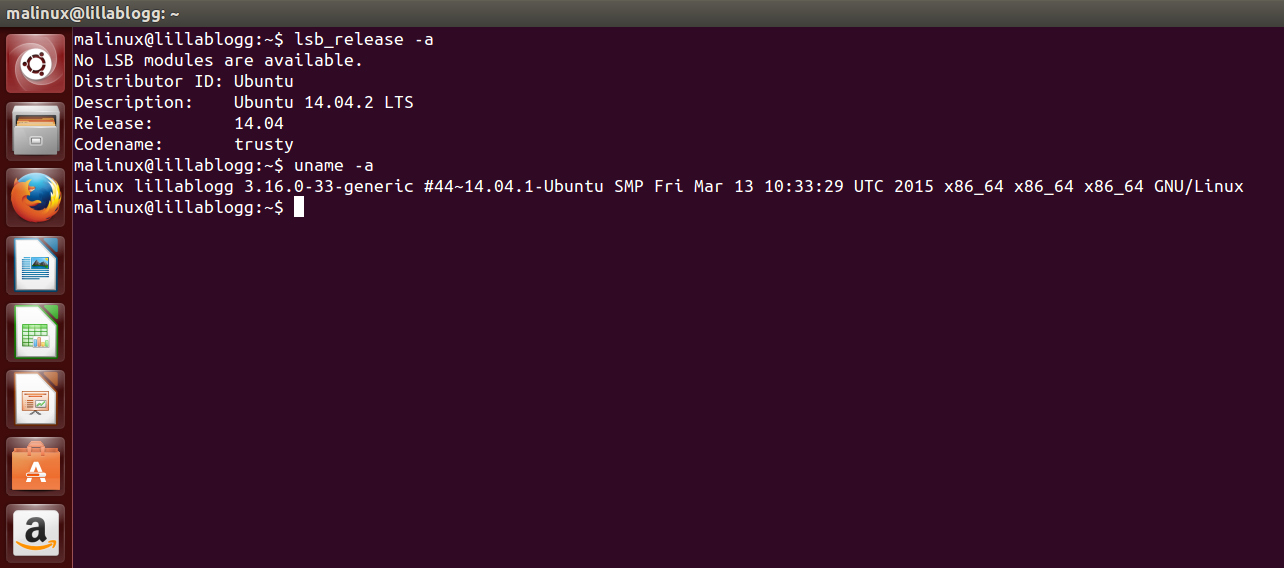 Ubuntu malinux lsb